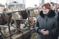 30% от цены молока в России составляют откаты