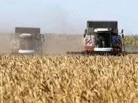 19 млрд рублей - размер помощи российским фермерам, пострадавшим от засухи
