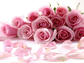 10 рублей за штуку - оптовая цена роз в Колумбии и Эквадоре