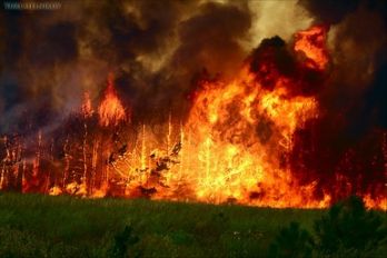 5 500 гектаров леса горит в Забайкалье в 13 районах