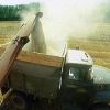 94 млн тонн зерна - планируемый объем урожая зерна в России в 2012 году